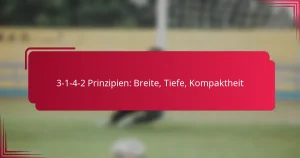 Read more about the article 3-1-4-2 Prinzipien: Breite, Tiefe, Kompaktheit