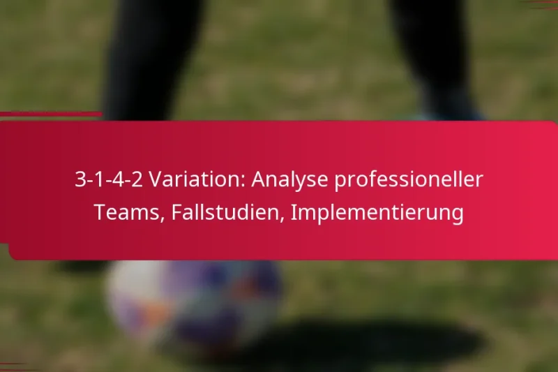 3-1-4-2 Variation: Analyse professioneller Teams, Fallstudien, Implementierung