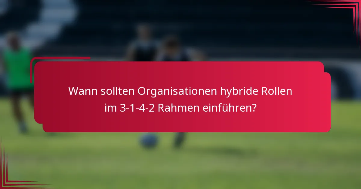 Wann sollten Organisationen hybride Rollen im 3-1-4-2 Rahmen einführen?