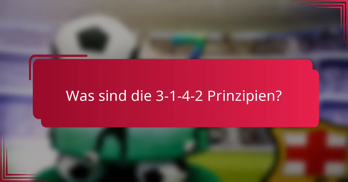 Was sind die 3-1-4-2 Prinzipien?
