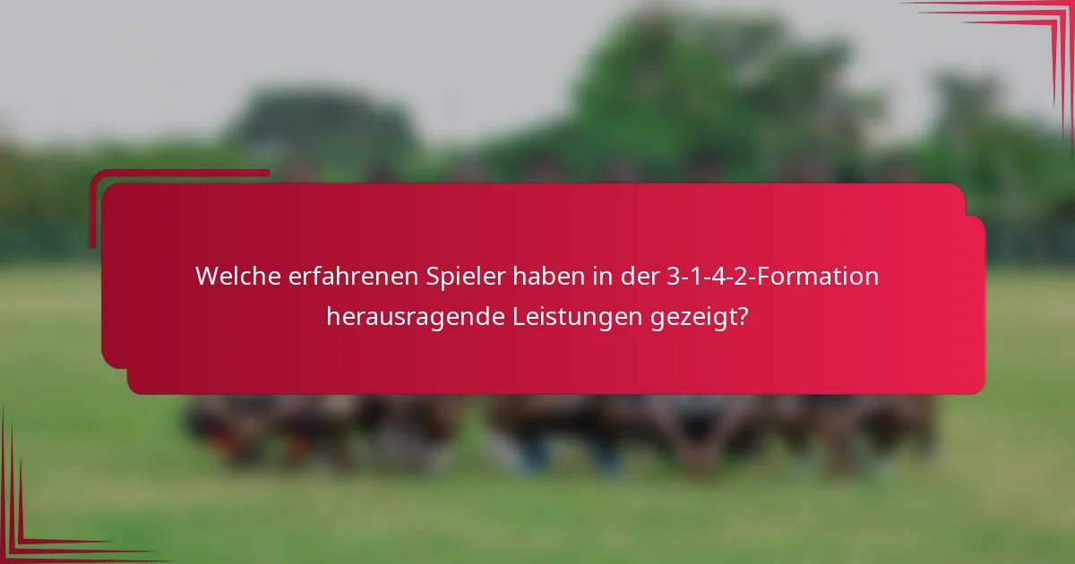 Welche erfahrenen Spieler haben in der 3-1-4-2-Formation herausragende Leistungen gezeigt?