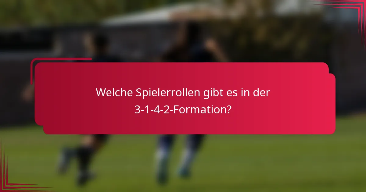 Welche Spielerrollen gibt es in der 3-1-4-2-Formation?