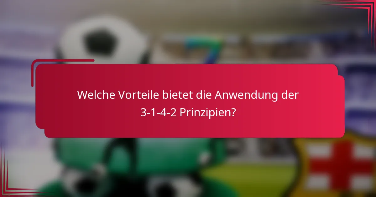 Welche Vorteile bietet die Anwendung der 3-1-4-2 Prinzipien?
