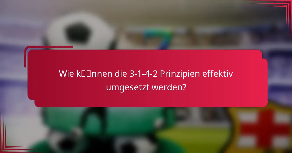 Wie können die 3-1-4-2 Prinzipien effektiv umgesetzt werden?