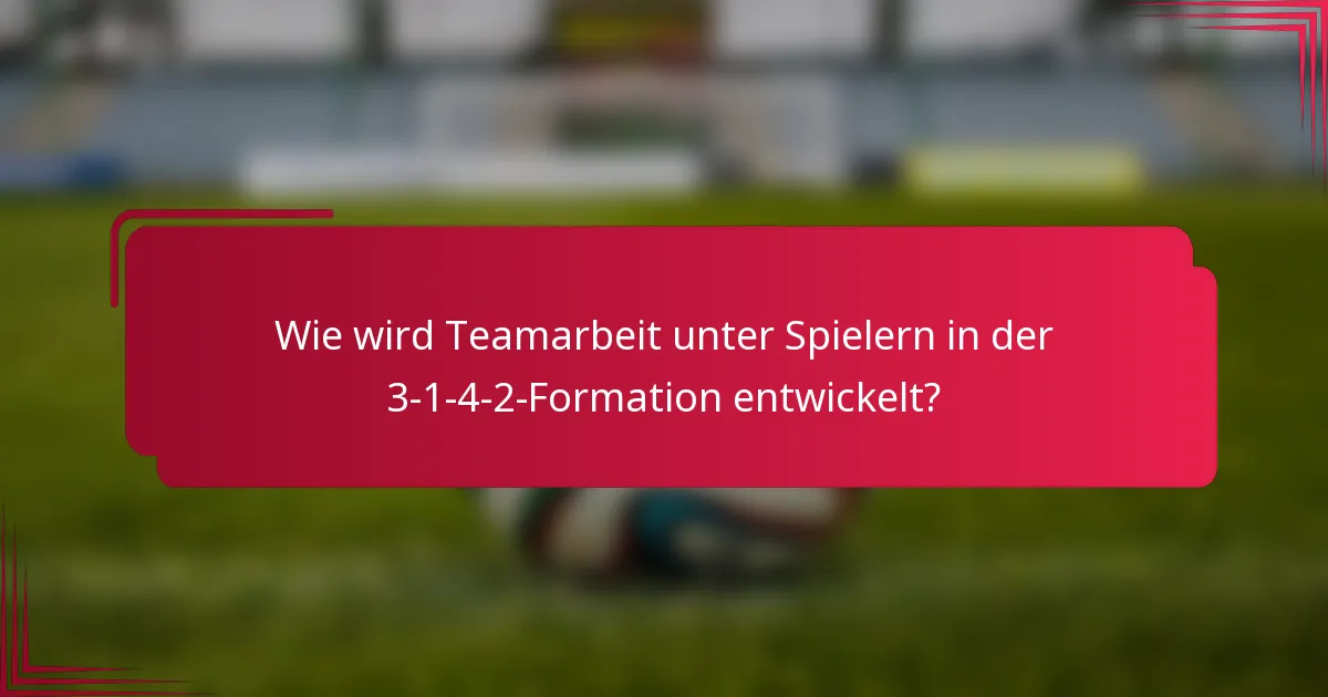 Wie wird Teamarbeit unter Spielern in der 3-1-4-2-Formation entwickelt?
